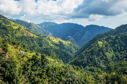 blue mountain portland jamaica