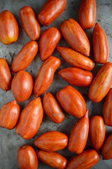 Stripy heirloom paste tomatoes on a metal baking sheet.