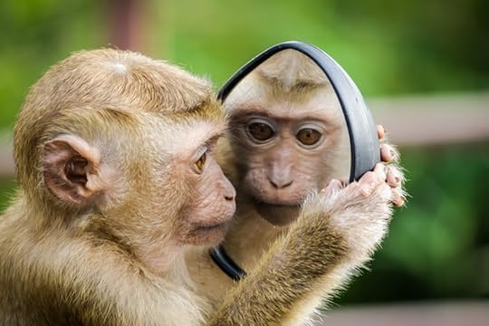 Photo by Andre Mouton on Unsplash