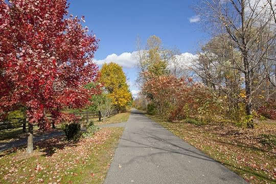 The,Ashuwillticook,Rail,Trail,In,The,Berkshires,,Of,Western,Massachusetts