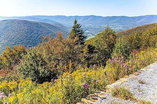 View,From,The,Side,Of,Mount,Greylock,In,The,Fall