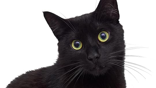 Black cats have a colorful history | Lifestyles | roanoke.com