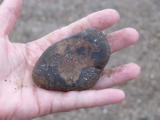May be an image of outdoors