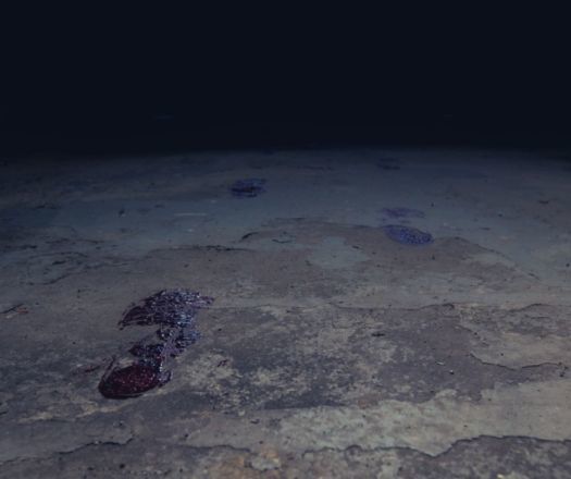 Bloody Footprints