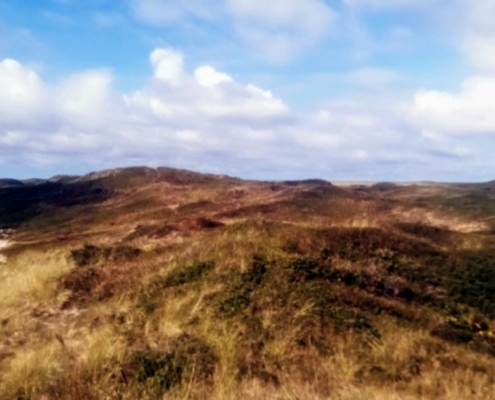 Dagje Texel