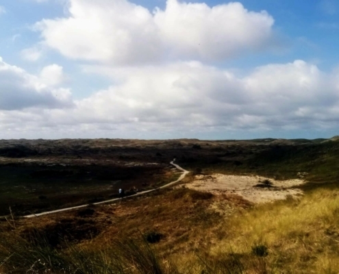 Dagje Texel