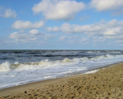 Dagje Texel