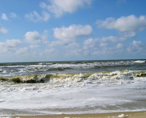 Dagje Texel