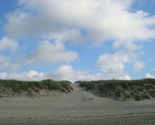 Dagje Texel