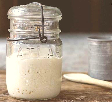 sourdough starter