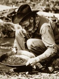 prospector