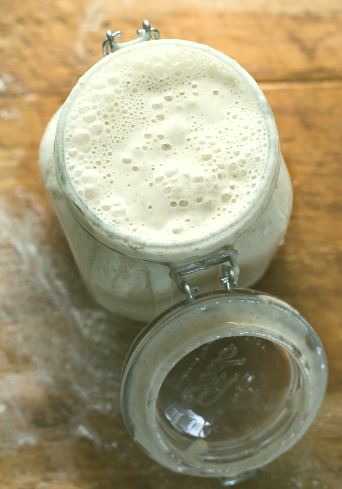 Sourdough bubbling