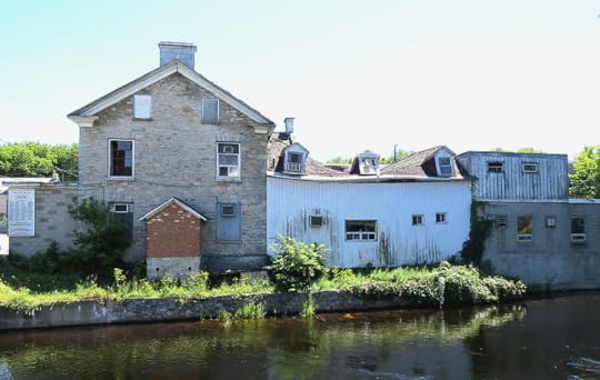 Kitten mill along the Clyde