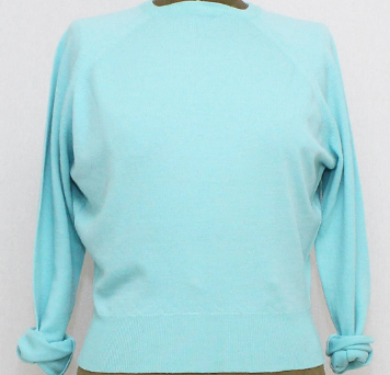 kitten pale blue sweater