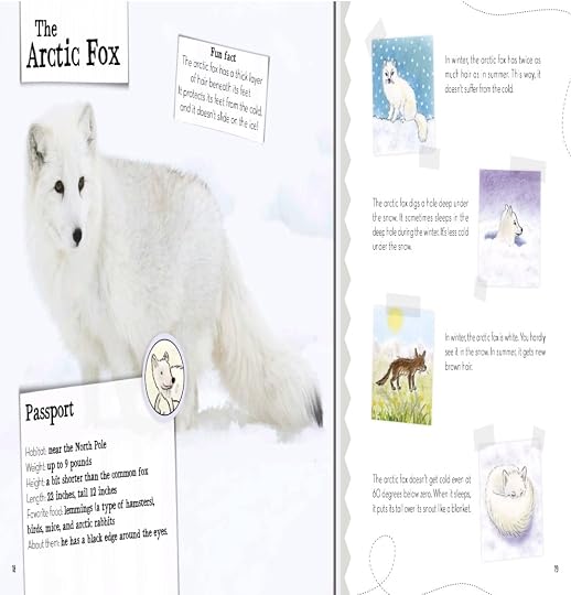 Wild Animals in the Snow. A Picture Book about Animals with Stories and ...