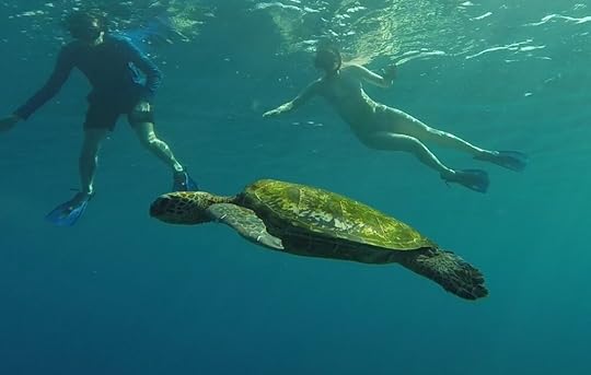 Far more than just a tourist attraction.