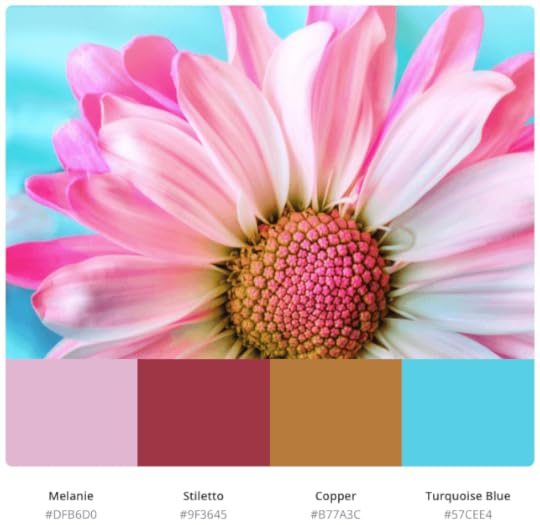 De noodgedwongen website update