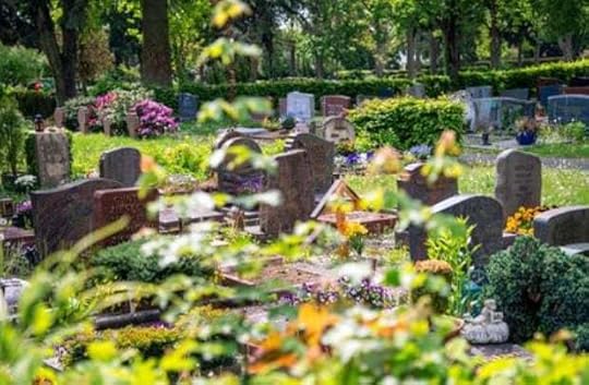 May be an image of outdoors