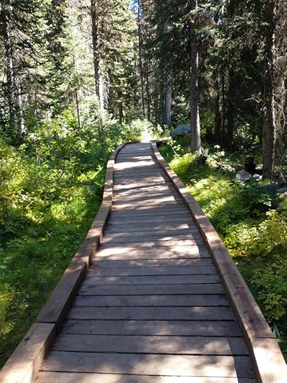 boardwalk along the Boom Lake trail