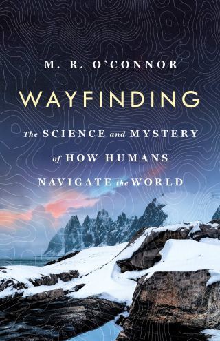 Place, Personhood, and the Hippocampus: The Fascinating Science of Magnetism, Autonoeic Consciousness, and What Makes Us Who We Are