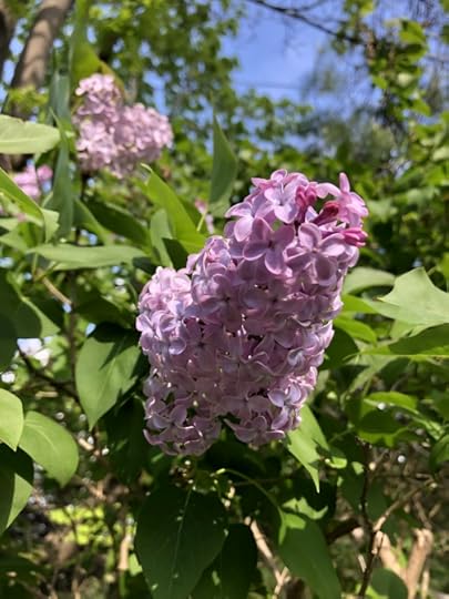 51183120197_b316a9c14c_c