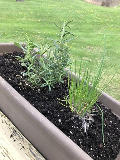 51152388997_af71e6b923_c