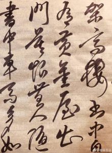 博猫娱乐