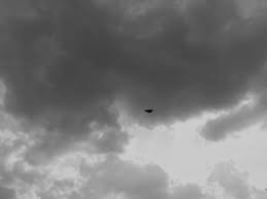 flying saucer 3