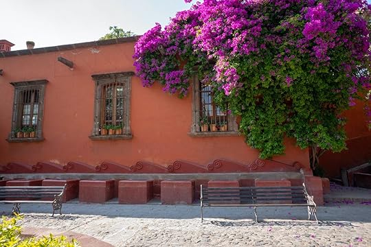 San,Miguel,De,Allende,,Guanajuato,/,Mexico,-,March,8,