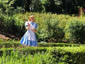 Alice in Wonderland