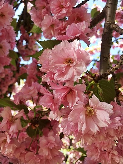 The Writing: On designing a writing life