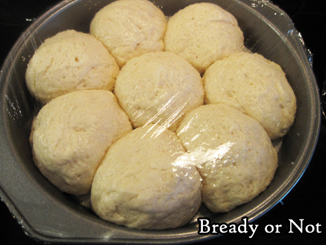 Soft White Dinner Rolls using Sourdough Starter