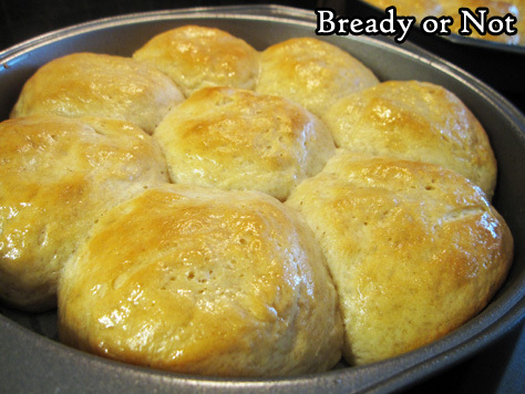 Soft White Dinner Rolls using Sourdough Starter