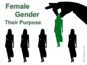 The Female Gender. Do we need it? What is their purpose, if any? Why did God create them like they are?