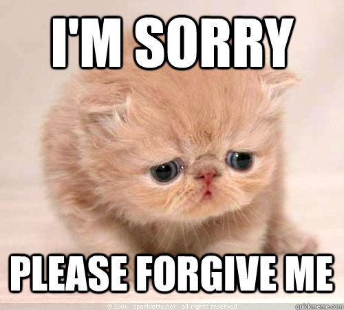 crying kitty