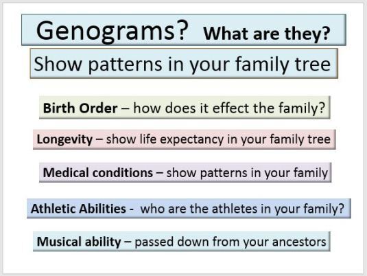 Genograms outline