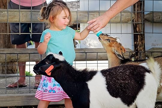 7 ridiculously fun ways to spend time outside on your trip to Kansas City