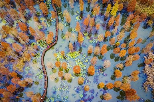 Wujiang-Zhu-Drone-Photo-Awards-2021
