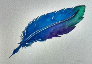 Image of a feather by Janet Anderton