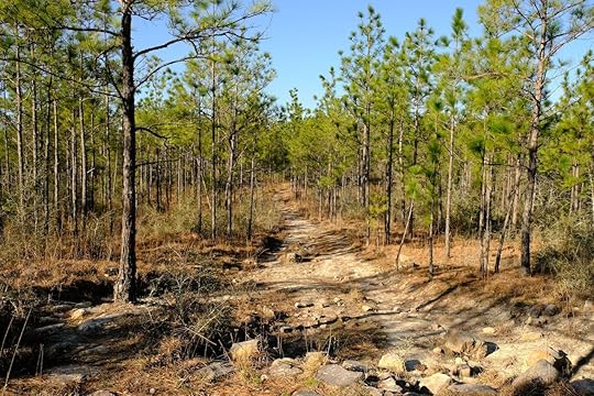 Hard hikes flat states Louisiana