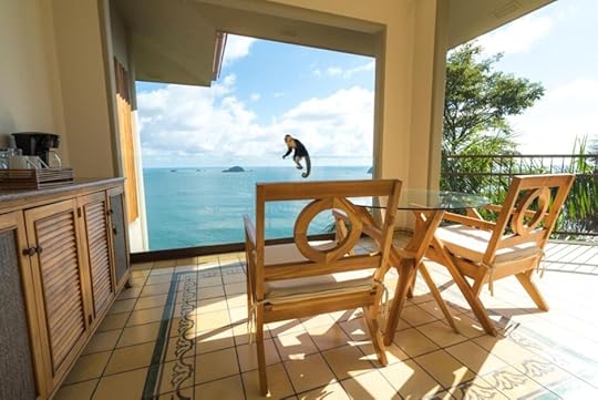arenas del mar best costa rica hotels