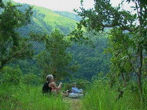 Jane's Peak, Gombe