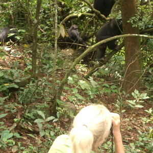 Hiking in Gombe