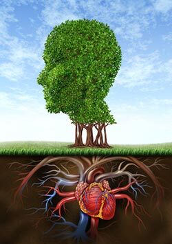 Should you follow your head or your heart?