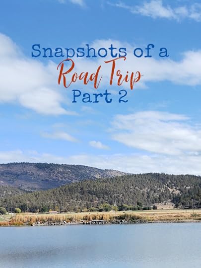 Our Reno - Las Vegas road trip was a big success and we had a great time. There's so much to see and do if you know where to look.