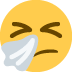 🤧