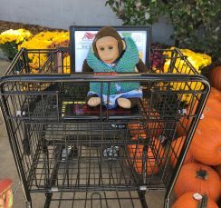 Mango Monkey in shopping car