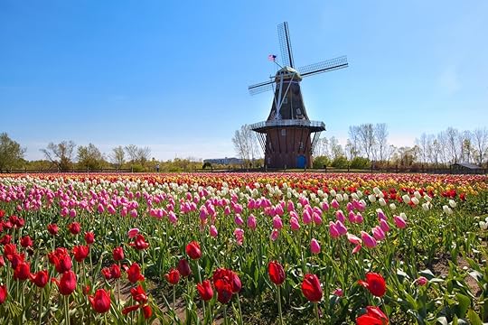 most european cities in america Windmill in Holland Michigan