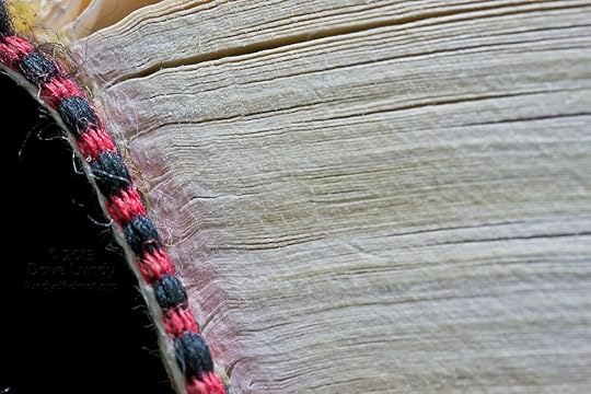 Image: close-up photo of a bound book's interior pages and headband.