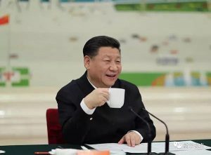 博猫娱乐